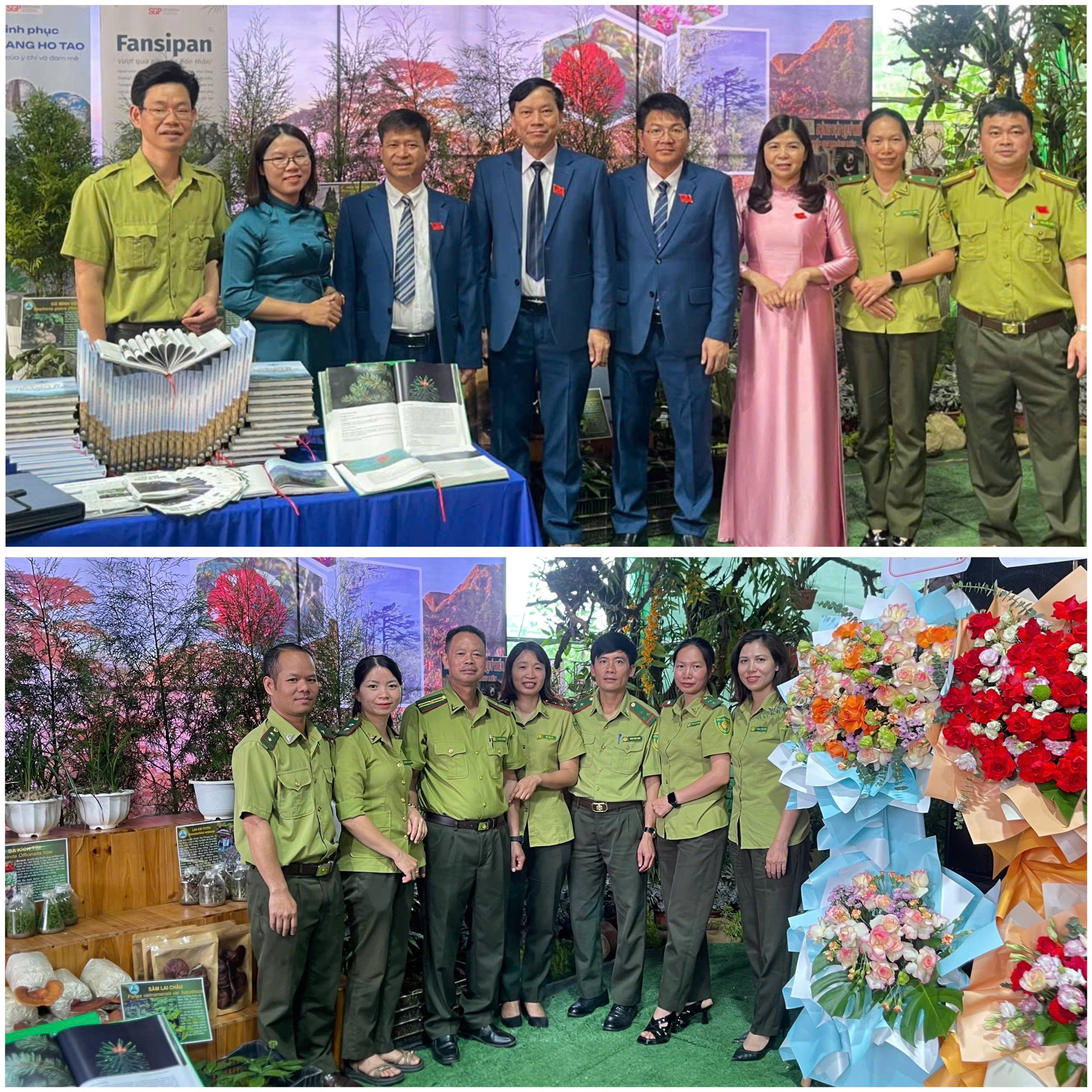 anh tin bai